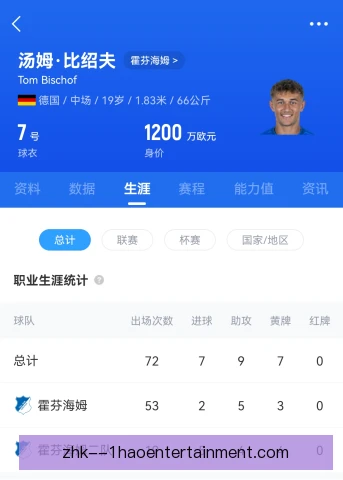 霍芬海姆复出球员状态回升，轮换选择带来竞争活力